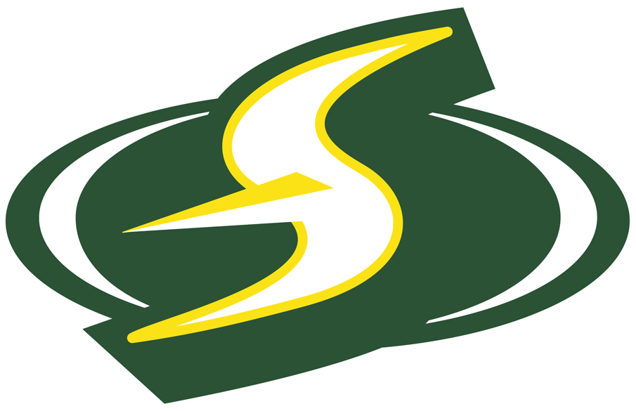 Seattle Storm 2016-Pres Alternate Logo iron on transfers for clothing